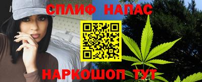 индика Новодвинск