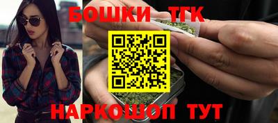 индика Новодвинск