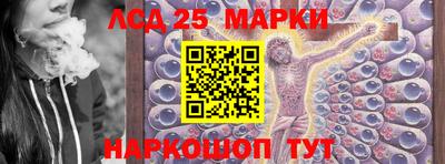 индика Новодвинск