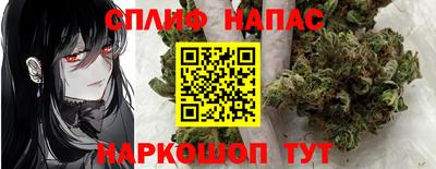 индика Новодвинск