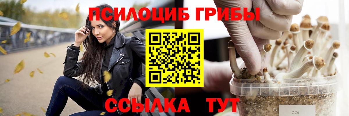 Псилоцибиновые грибы Psilocybine cubensis Сибай
